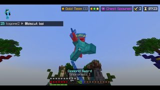 Goofy ahh Skywars