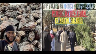 Visiting a Date Fruit Farm for the First Time in Medina, Saudi Arabia - Al Radadi Date Farm & Garden