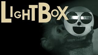 Lightbox: Scottish BAFTA-winning 'Monkey Love Experiments' - White Robot Interview