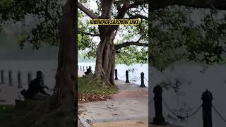 Rabindra Sarobar lake || #viralvideo #viralshort #kolkata #tranding #travel