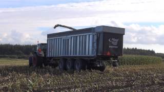 Majssnitning / Mais silage 2013 | Krone Big X, Fliegl ASW 3101, Fendt, Case IH | Skamstrup