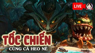 [LIVE] Liên Minh Huyền Thoại Tốc Chiến Mùa 13 Cùng Cá Heo Nè | Legue of Legends Wildrift Viet Nam