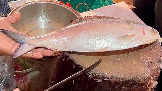 Best Cutting Skills | Big Hilsa Fish Cutting By Expert Fish Cutter #bdfishcutting