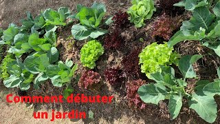 Comment débuter un jardin