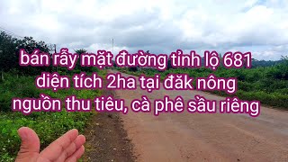 Bán rẫy tiêu cà phê mặt đường tỉnh lộ 681 tại đăk nông. 0987326906