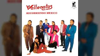 Los Vallenatos "Bonita, Bonita" (1994)