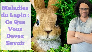 Pathologies du Lapin : Ce Que Vous Devez Savoir