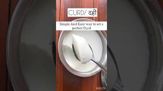 How set perfect curd at Home #curdrecipe #shortsfeed #trendingshorts #recipe #newsong