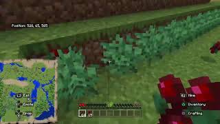 Minecraft GamePlay