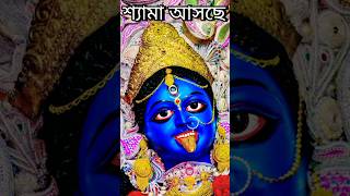 Maa Kali।Sanatan Rudra Pal।Kali Puja 2024।Kumartuli Kali Puja।#kalipuja #maakali #shyama #kali #new