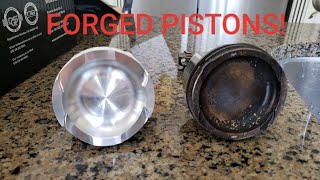 Rebuilding my Blown Abarth 500 motor - Part 2 // I GOT FORGED PISTONS!