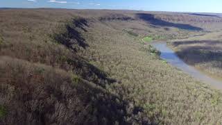 Springtime in the Tennessee Valley Gorge