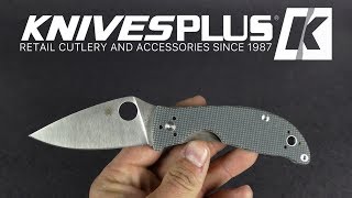 Spyderco Alcyone C222GPGY Knife "Walk-Around" - Knives Plus