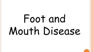 Foot and Mouth Disease