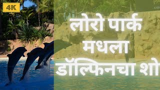 लोरो पार्क मधला डॉल्फिनचा शो | टेनेरीफ | स्पेन | युरोप | 4K | DJI Pocket 2