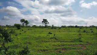 MAVUENI KILIFI 50 by 100 (1/8) acre plot's only 80 meter's off Mavueni Mariakani by-pass road (2)