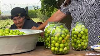 CAUCASIAN OLD GRANDMA HARVESTING CHERRY! PLUM  COLLECTING CORNUS FRUIT FROM THE WILD | FIG JAM