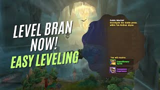 WOW: The War Within - Level Up Brann Fast with This Daily Hack!