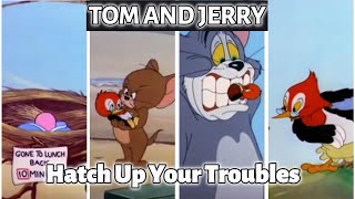 Tom and jerry, Hatch Up Your Troubles | last part | tom and jerry cartoon | cartoon tom and jerry