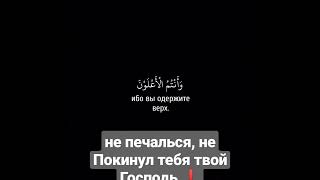 не покинул тебя твой Господь ⬛ #shorts #quran #islam #мусульмане #напоминание #коран