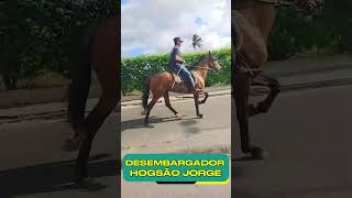 DESEMBARGADOR HOGSÃO JORGE#mangalargamachador/#mangalargadobrasil/#mangalargadeelite/#viral_video