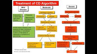 2020 08 27 Crohn's Disease webinar