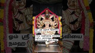 அனைத்து நன்மைகளும் கிடைக்க #panchami #varahi #வாராகிவழிபாடு #tamildevotionalsongs #tamilbakthisongs