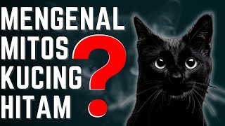 Fakta dan Mitos Kucing Hitam: Memahami Misteri di Balik Keberuntungan! | Explorasi Ajaib