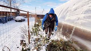 НИЖЕГОРОДСКАЯ ОБЛАСТЬ 3 НОЯБРЯ/ЗАКРЫЛИ ДАЧНЫЙ СЕЗОН 2024ГОДА