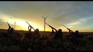 North Dakota Waterfowl Hunting - October 2013