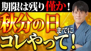 2024年の貴重な大吉日！2025年の金運を決める秋分の日までにコレだけはやっておいて!【9月22日 秋分の日】