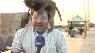 Funniest Pakistani News Reporter Ever