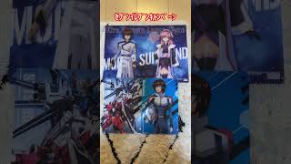 ガンダムSEEDフリーダム セブンイレブンキャンペーン(クリアファイル、マルチシート) #ガンダムSEEDフリーダム #ライジングフリーダム #イモータルジャスティス #ガンダムベース #ガンプラ