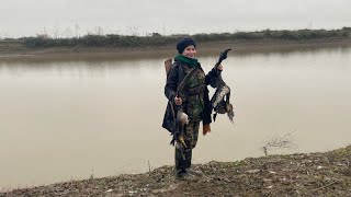 Hunting black duck in the lake