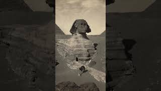 Sphinx: The truth revealed by archaeologists #facts #sphinx #giza #historical #shorts  #brainfoods