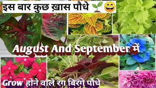 August And September month growing plants/new plants add किया इस बार 😀