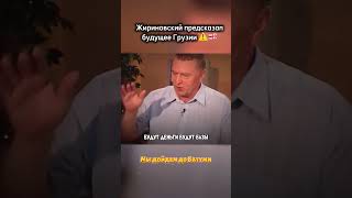 Жириновский предупредил Грузию!