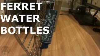 Ferret Water Bottles