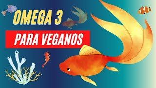 4 Maiores Fontes de Omega 3 Vegana(+ opção de suplemento)