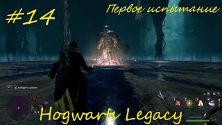 Первое испытание - Hogwarts Legacy прохождение на русском часть14