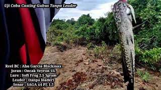 Casting Ikan Gabus Tanpa Leader