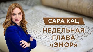 Недельная глава «Эмор»