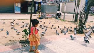 Baby Playing with Little Birds | Pigeon 🐦 | Bird Lover |Cute Babies and Birds