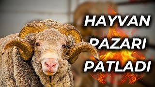 TÜRKİYE'nin EN UCUZ HAYVAN PAZARI | ŞOK FİYATLAR