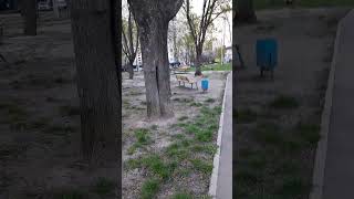 Пасмурное утро. Харьков 19.04.23