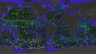 Global Ocean Flow