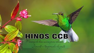 Hinos CCB 2020 - Hinos Para Pequenos Prazeres - Ore Pela Paz