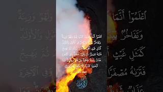 ارح مسمعك بالقرآن ♥️#راحة_نفسية #تلاوة_خاشعة #القارئ_احمد_جلال_المصرى