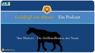 PODCAST | Goldfuß am Abend | Folge 7: Größe spielt sehr wohl eine Rolle! Vor allem in der Evolution.