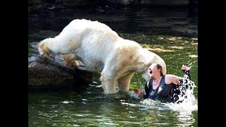 The most shocking animal attacks on humans compilation ( Нападение животных на людей подборка)